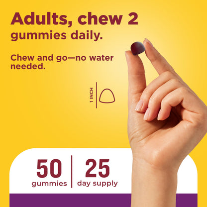Authentic Nature Made dual action gut health support gummies for adults
