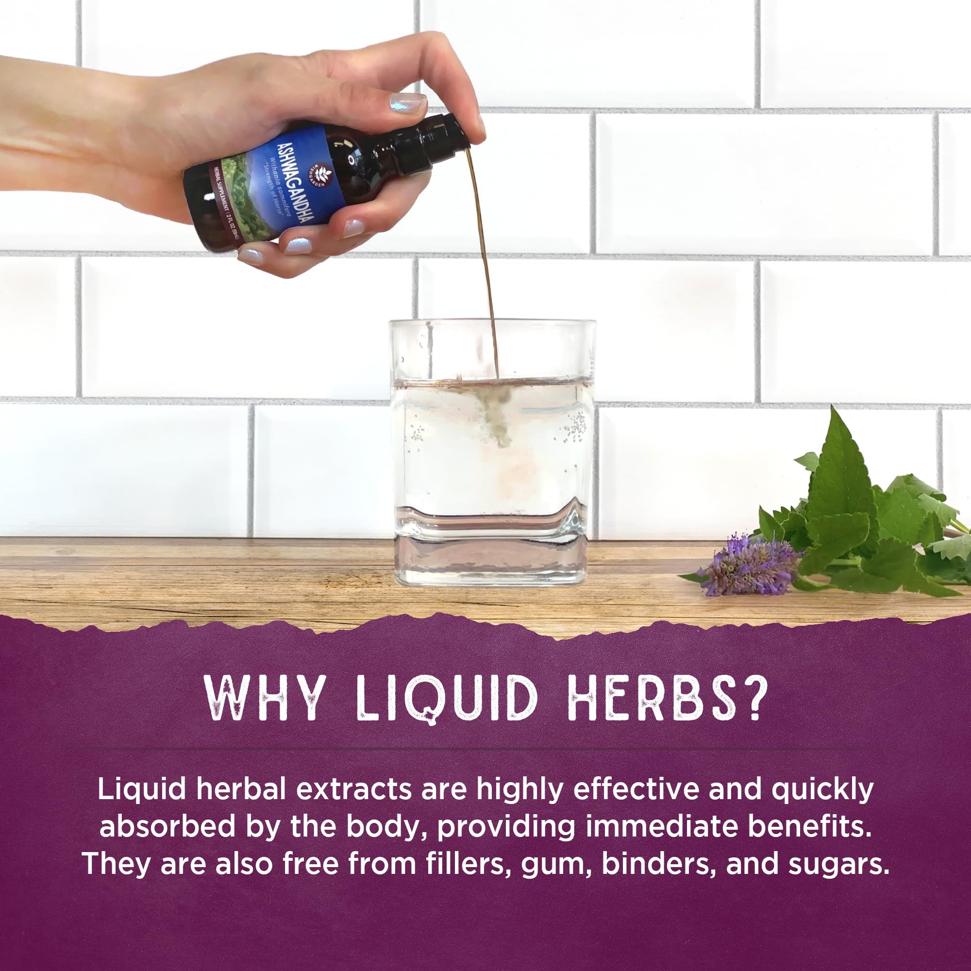 WishGarden Herbs Cramp Release liquid drops bottle demonstrating herbal menstrual support for Indian consumers