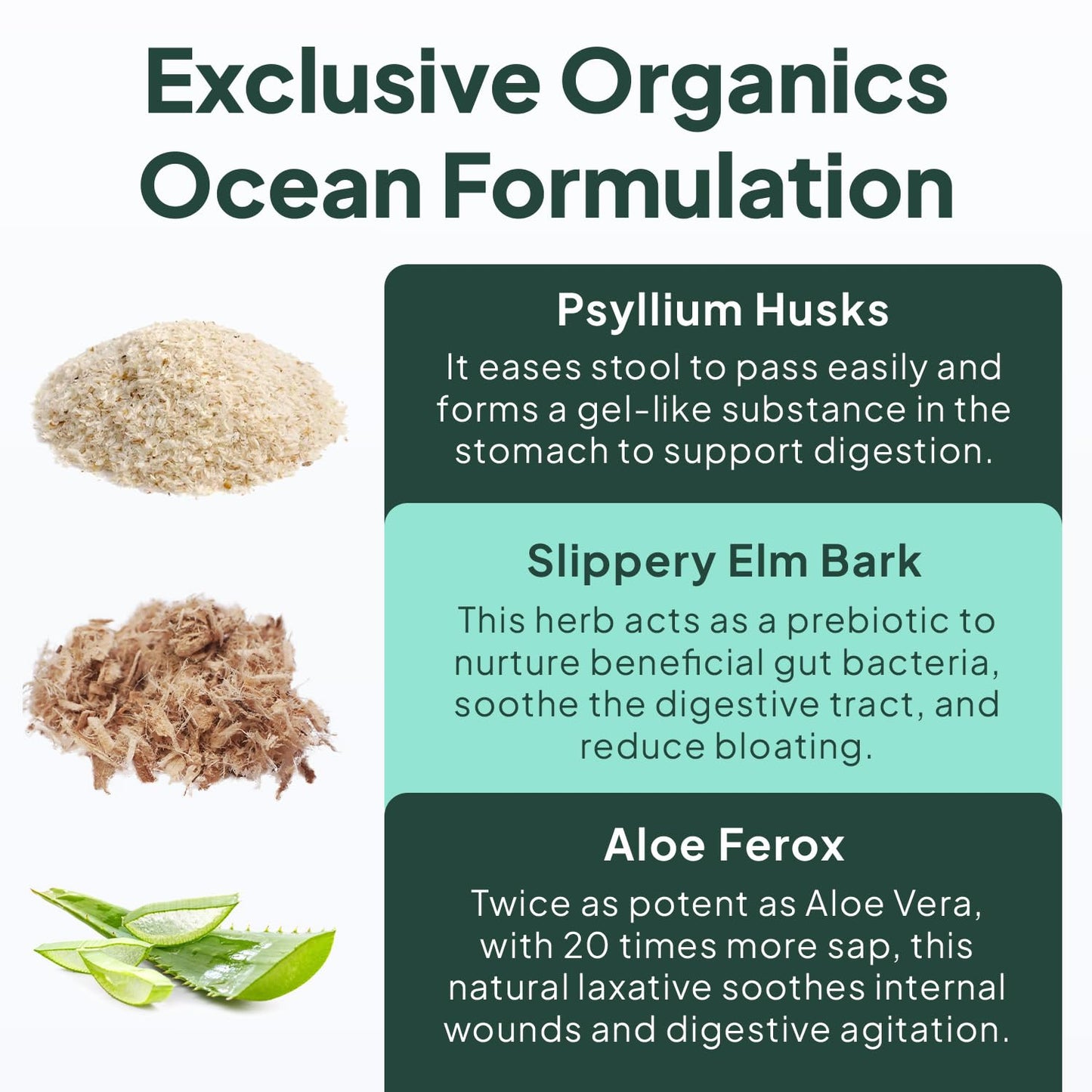Organics Ocean vegan fiber supplement container with slippery elm bark benefits