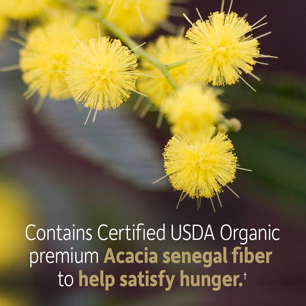 Garden of Life Dr Formulated Organic Fiber nutrition facts panel showcasing superfood ingredients