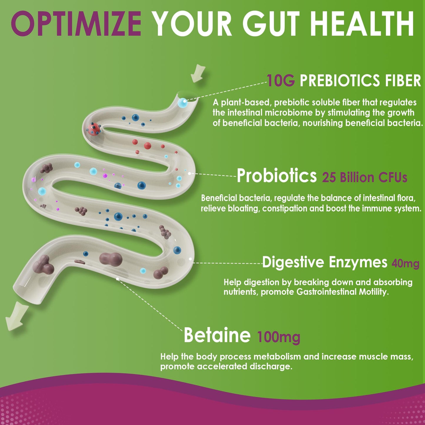 USA imported Nextdia prebiotic fiber supplement with betaine hydrochloride close up view.