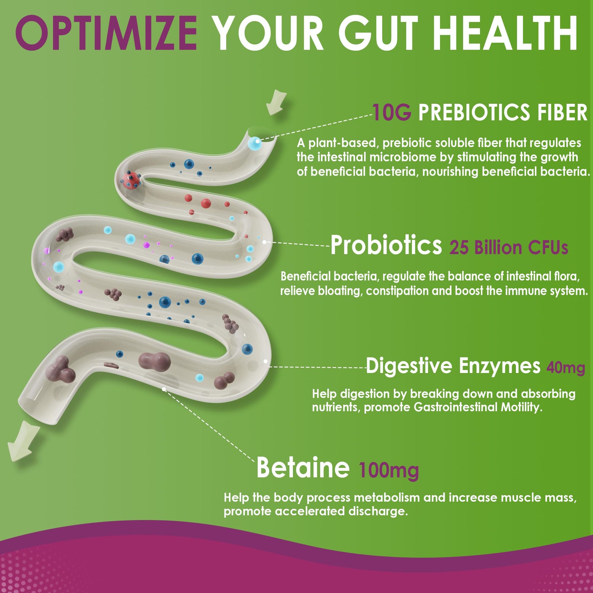 USA imported Nextdia prebiotic fiber supplement with betaine hydrochloride close up view.