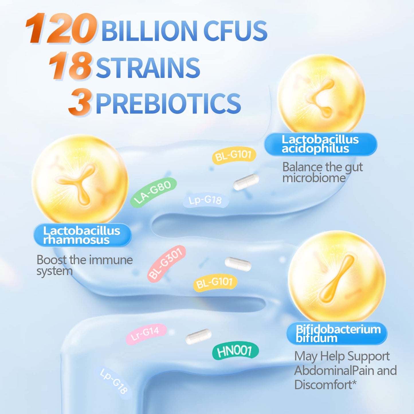 Delayed release dietary capsules containing organic prebiotics and active digestive enzymes