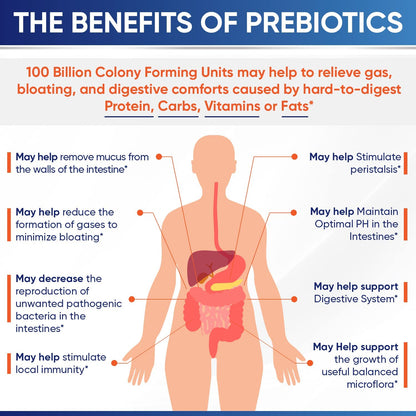 Authentic USA imported Wholesome Wellness probiotic packaging displaying non GMO and gluten free seals