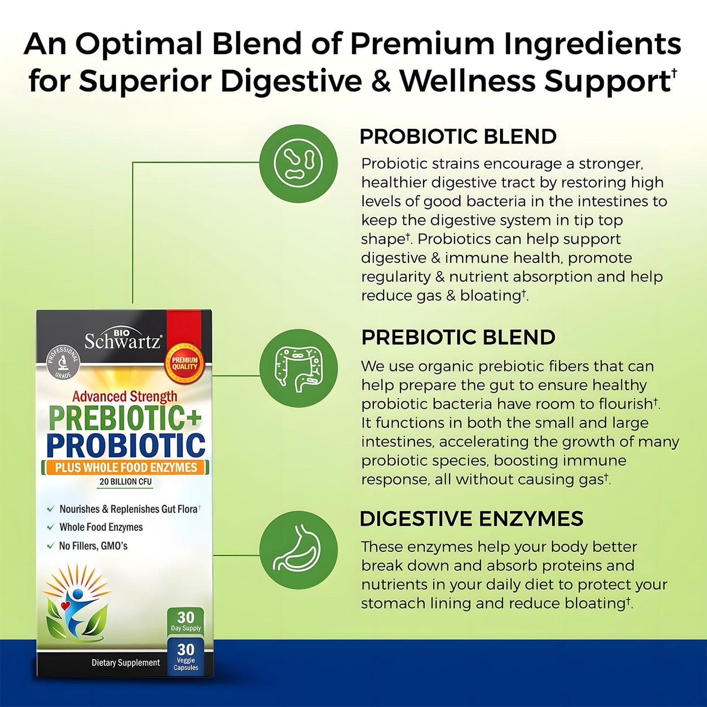 Supplement facts label on the BioSchwartz pre and probiotic bottle detailing the full Lactobacillus and Bifidobacterium strain profile.
