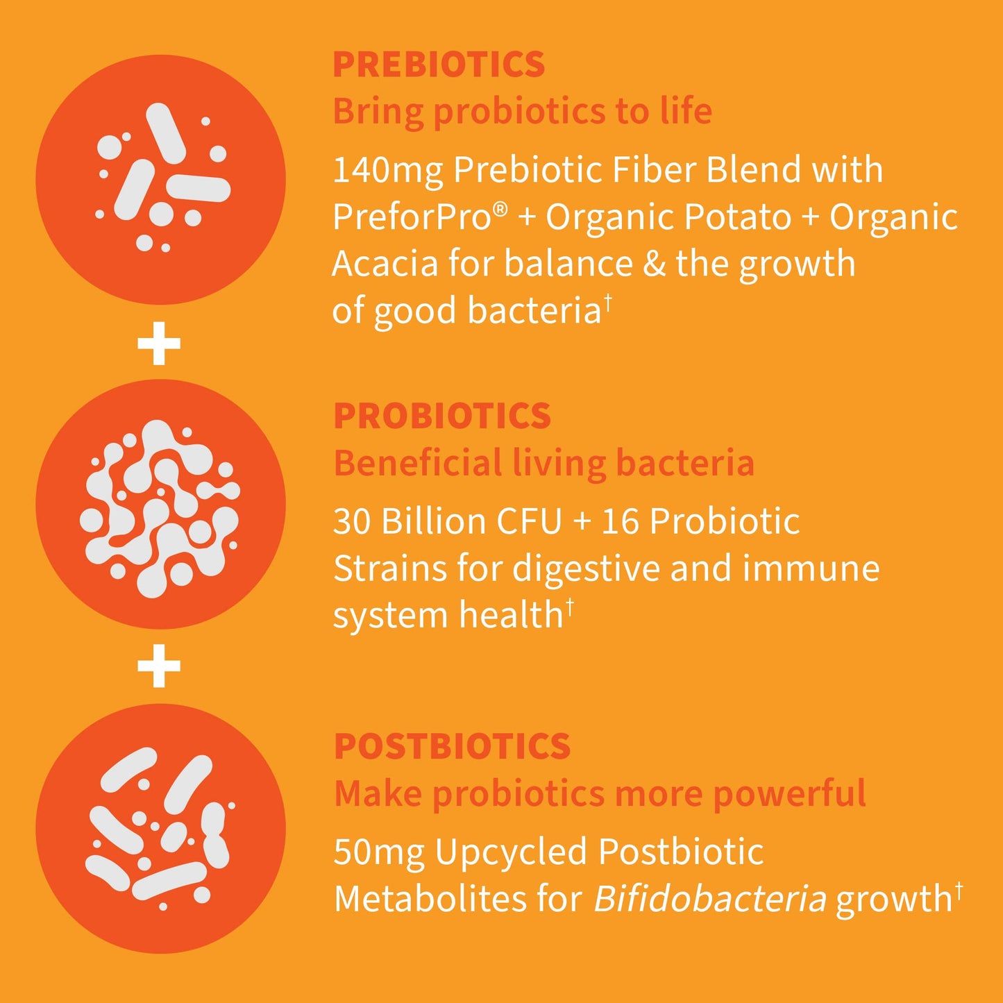 Authentic imported Garden of Life Dr Formulated daily probiotic bottle on a clean background