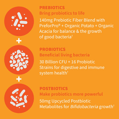 Authentic imported Garden of Life Dr Formulated daily probiotic bottle on a clean background