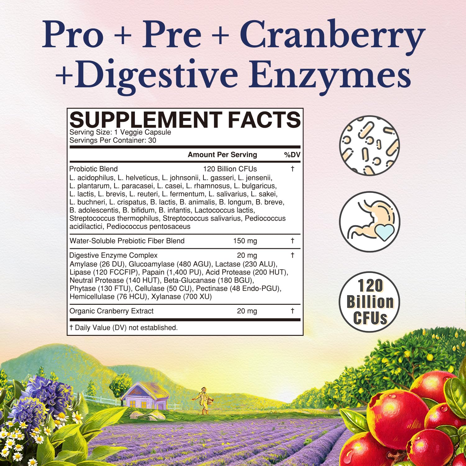 Vitalitown female health supplement packaging detailing 30 strains and prebiotics blend
