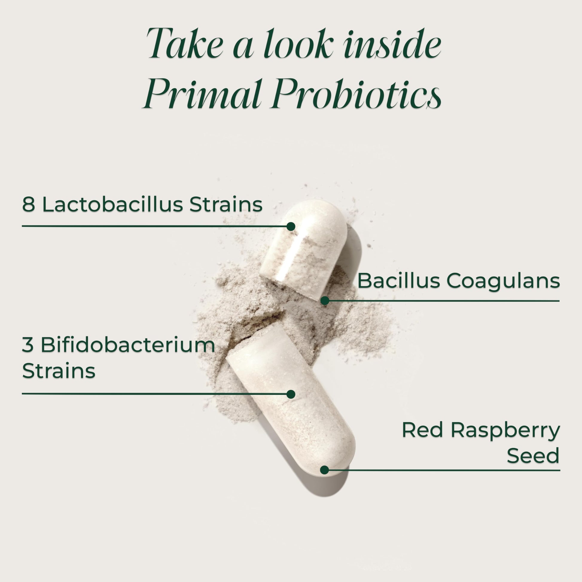 Authentic USA imported Primal Probiotics 30 capsules packaging layout