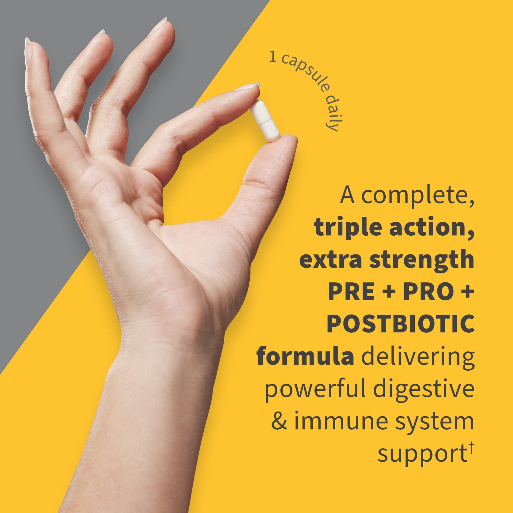 Close up view of the shelf stable packaging for Garden of Life Dr Formulated probiotic supplement for adults