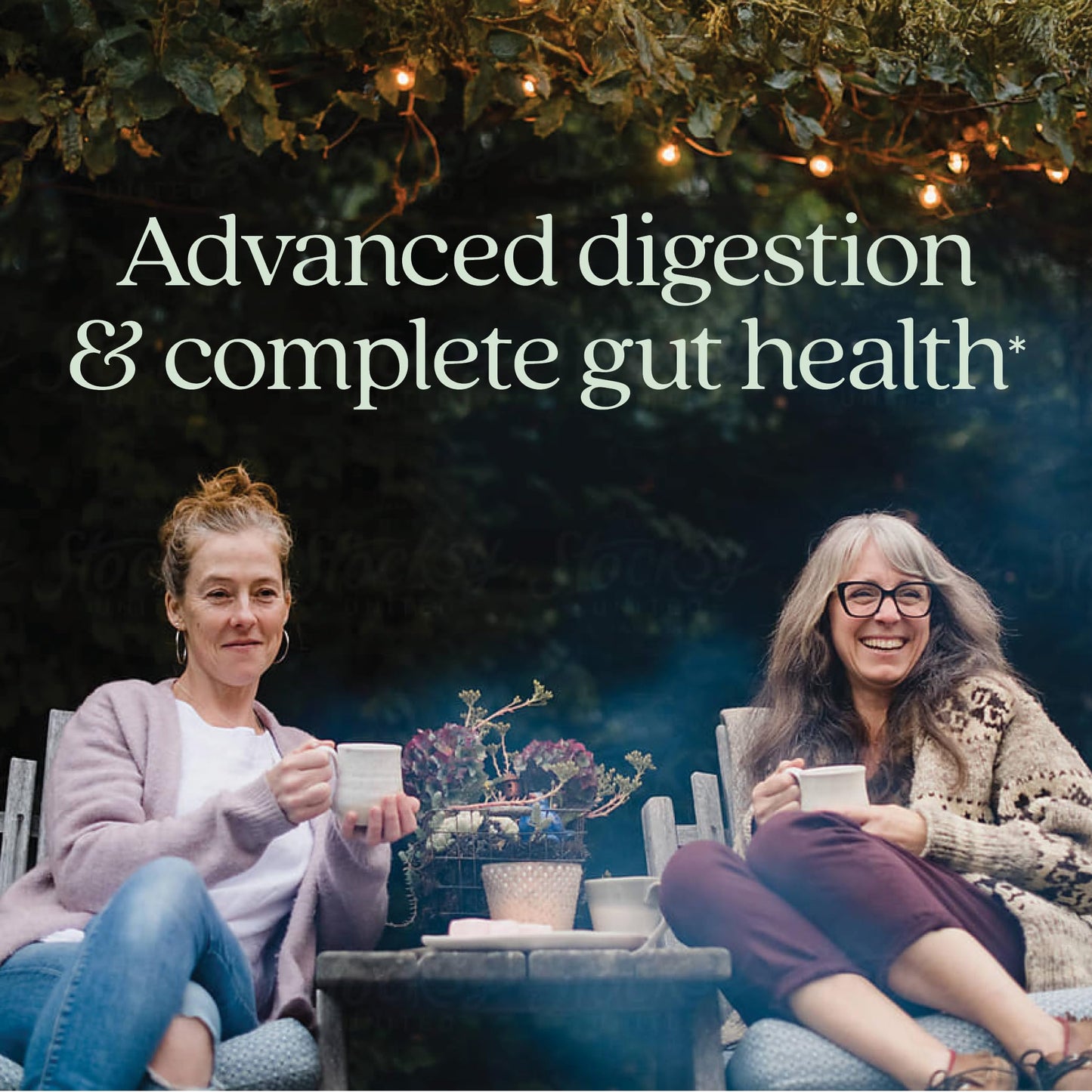 New Chapter All-Flora 3-in-1 Probiotic digestive supplement ingredients list label