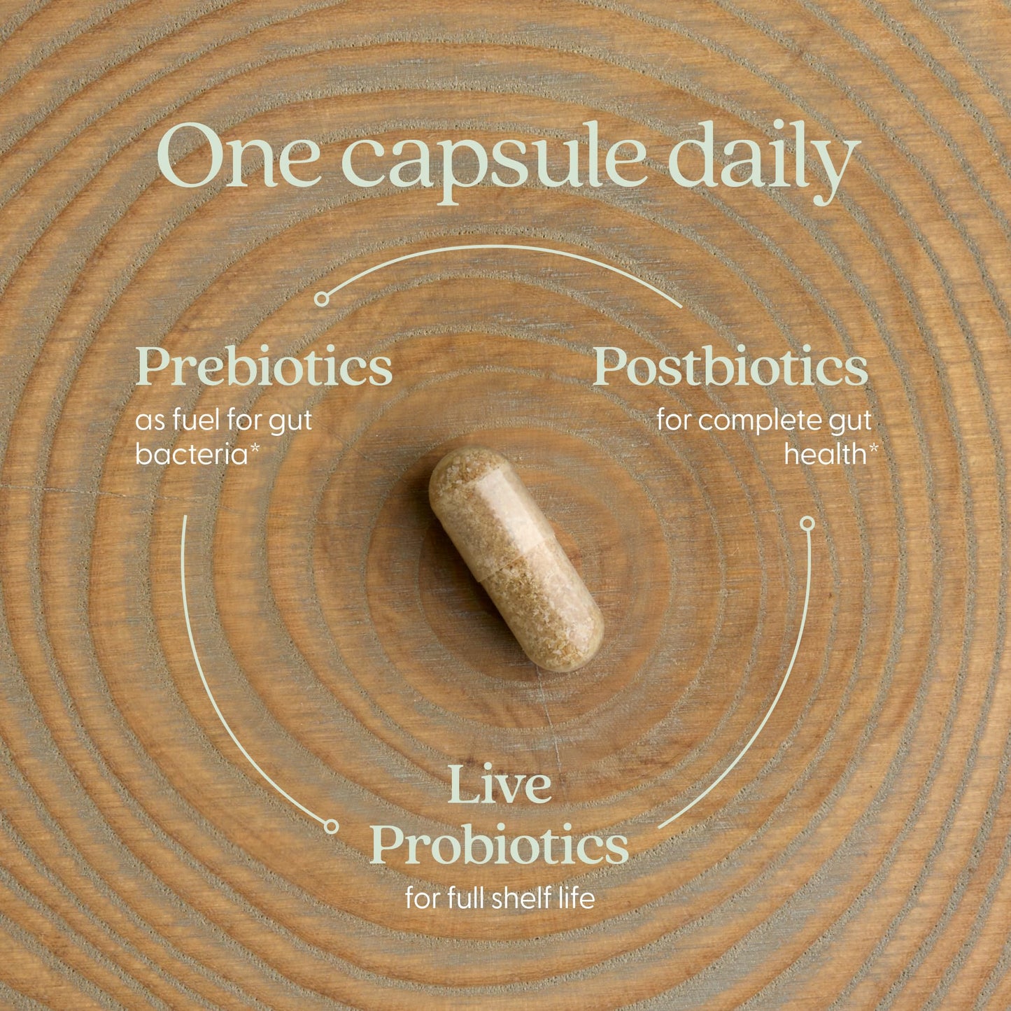 New Chapter gut health probiotic vegetarian supplement side panel details