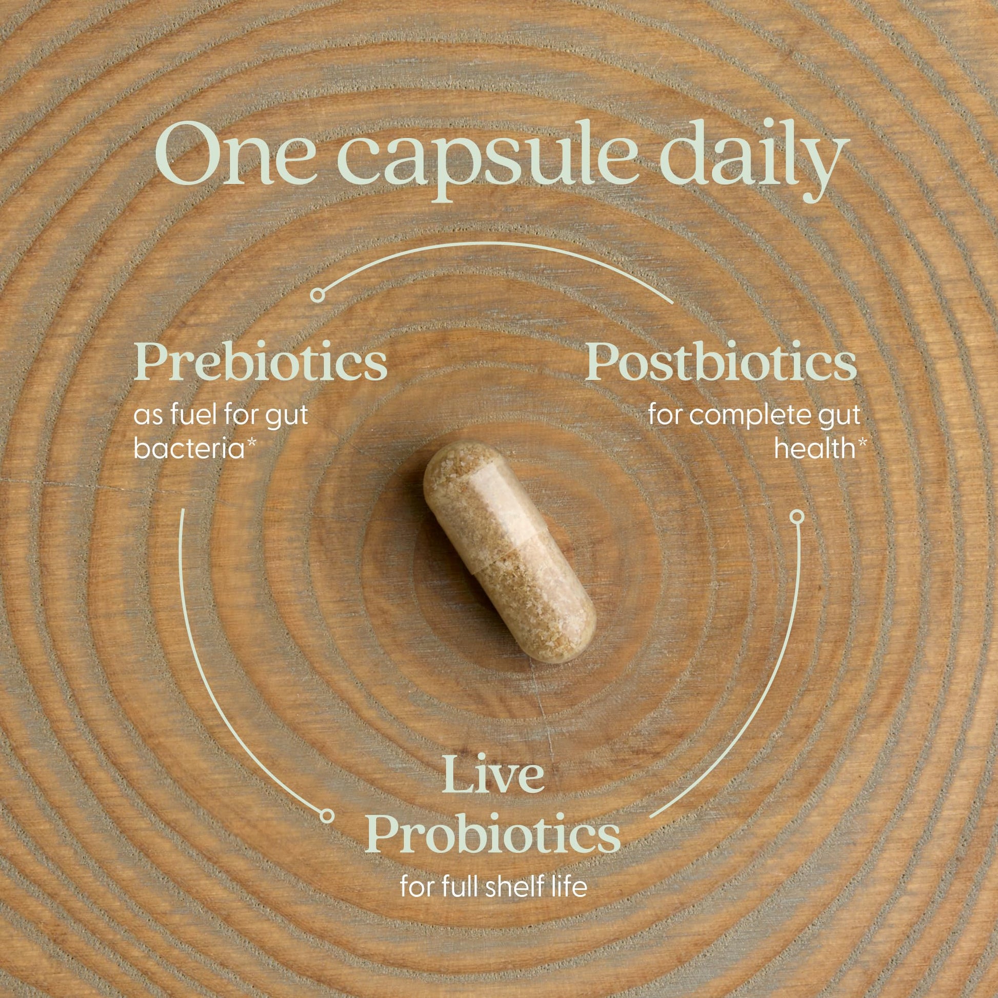 New Chapter gut health probiotic vegetarian supplement side panel details