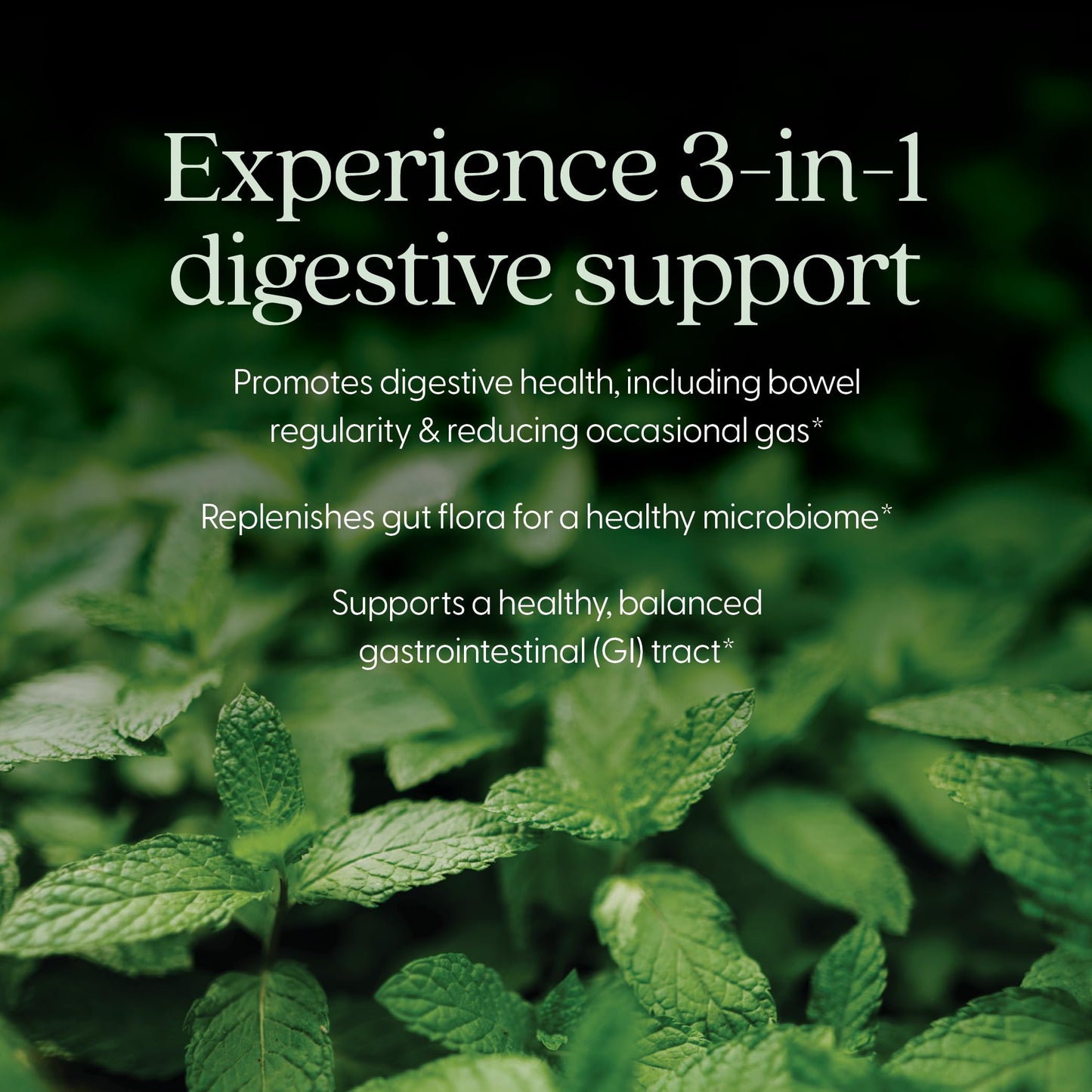 Premium imported USA prebiotics and postbiotics supplement dosage instructions