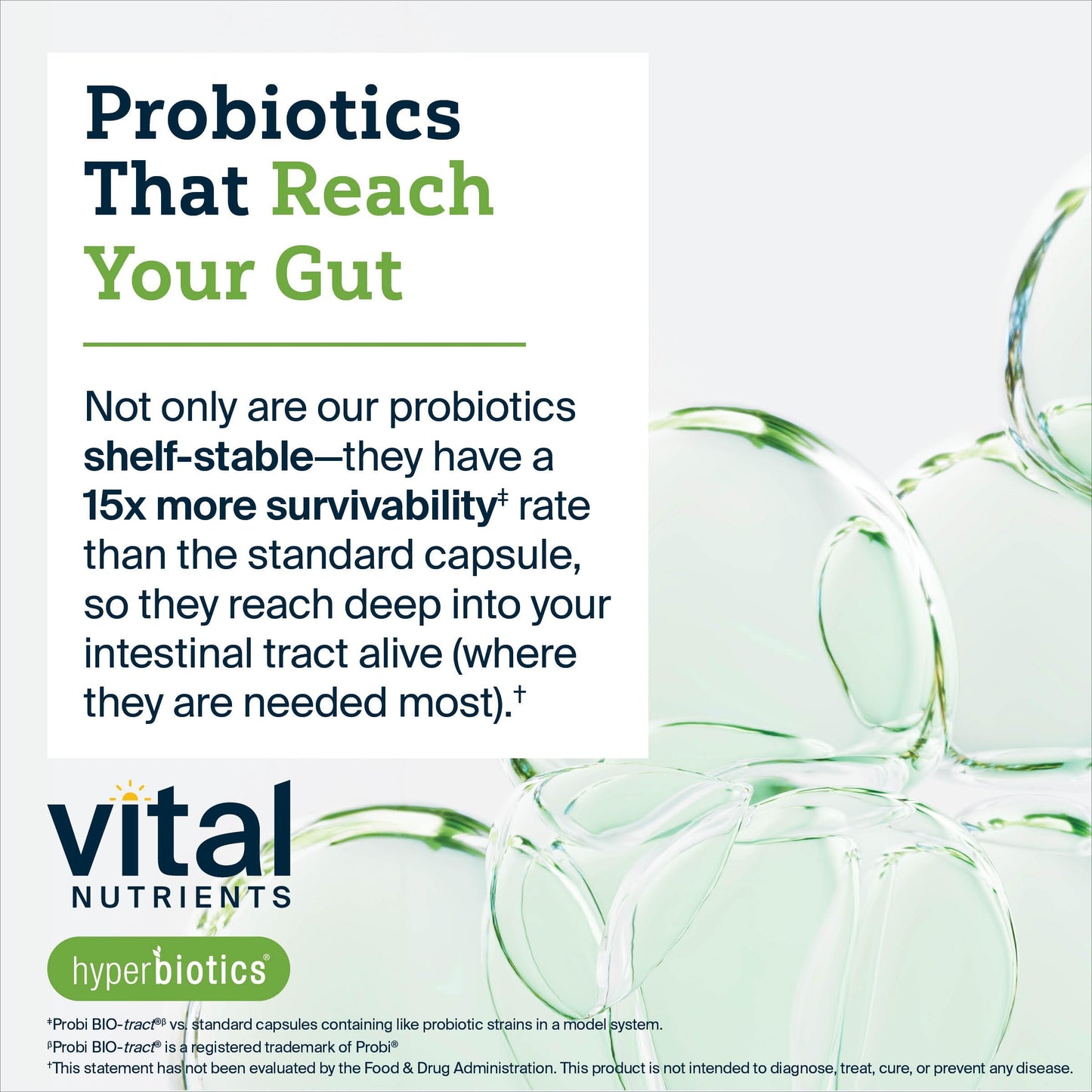 Hyperbiotics vital nutrients organic prebiotic supplement certified organic seal
