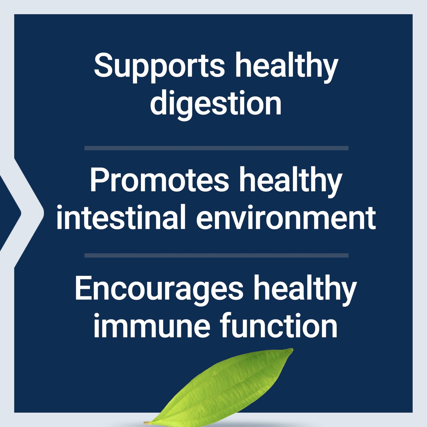 Life Extension Bifido GI Balance gluten free and non GMO verified product view