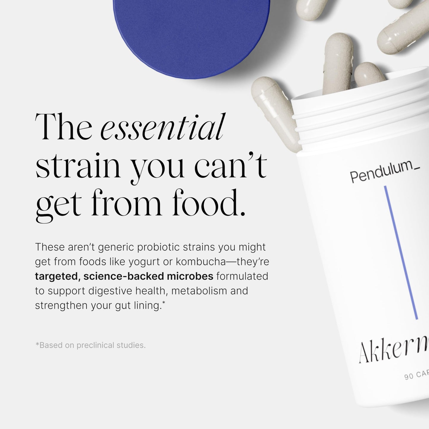 Pendulum Akkermansia 90 count bottle standing upright displaying delayed release capsule feature