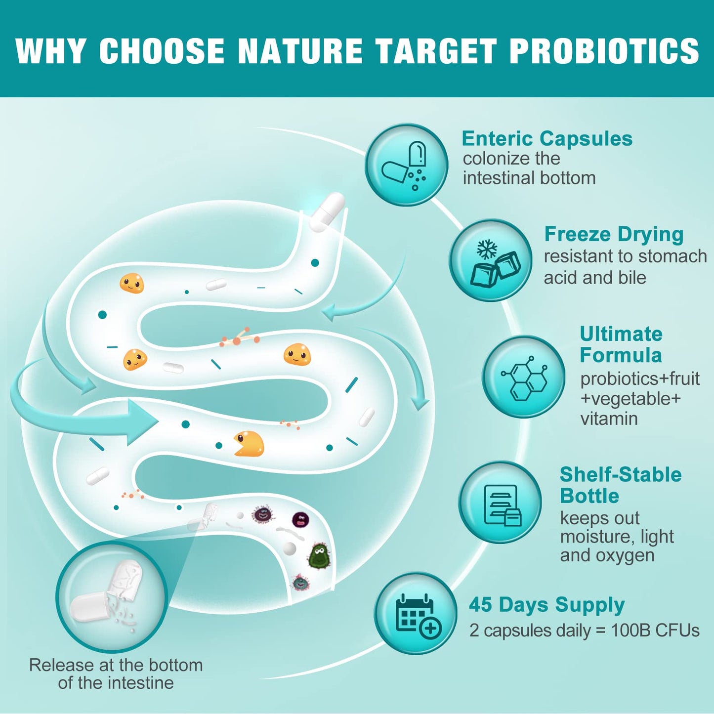 Nature Target 100 Billion CFU probiotic dietary supplement bottle showcasing the multi-strain formula labels.