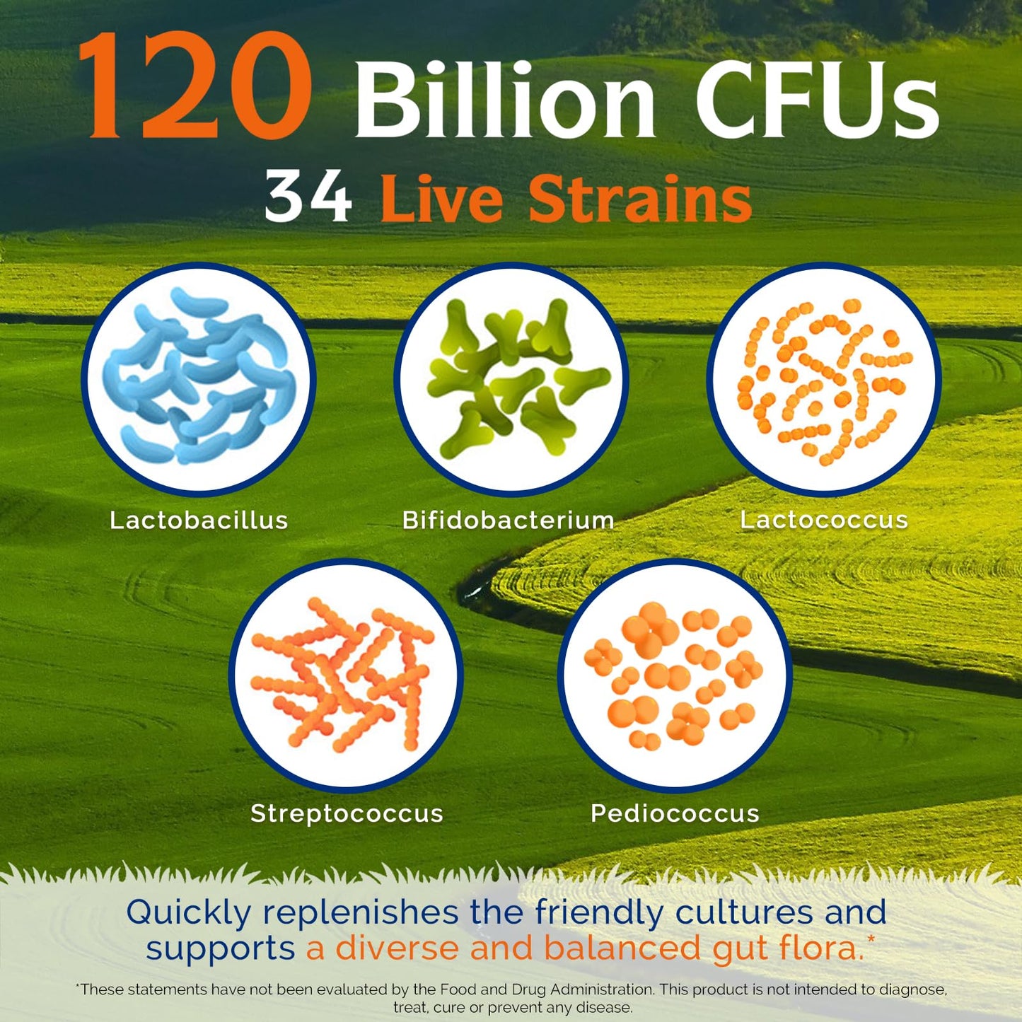 Supplement facts label for authentic Innate Vitality digestive enzymes