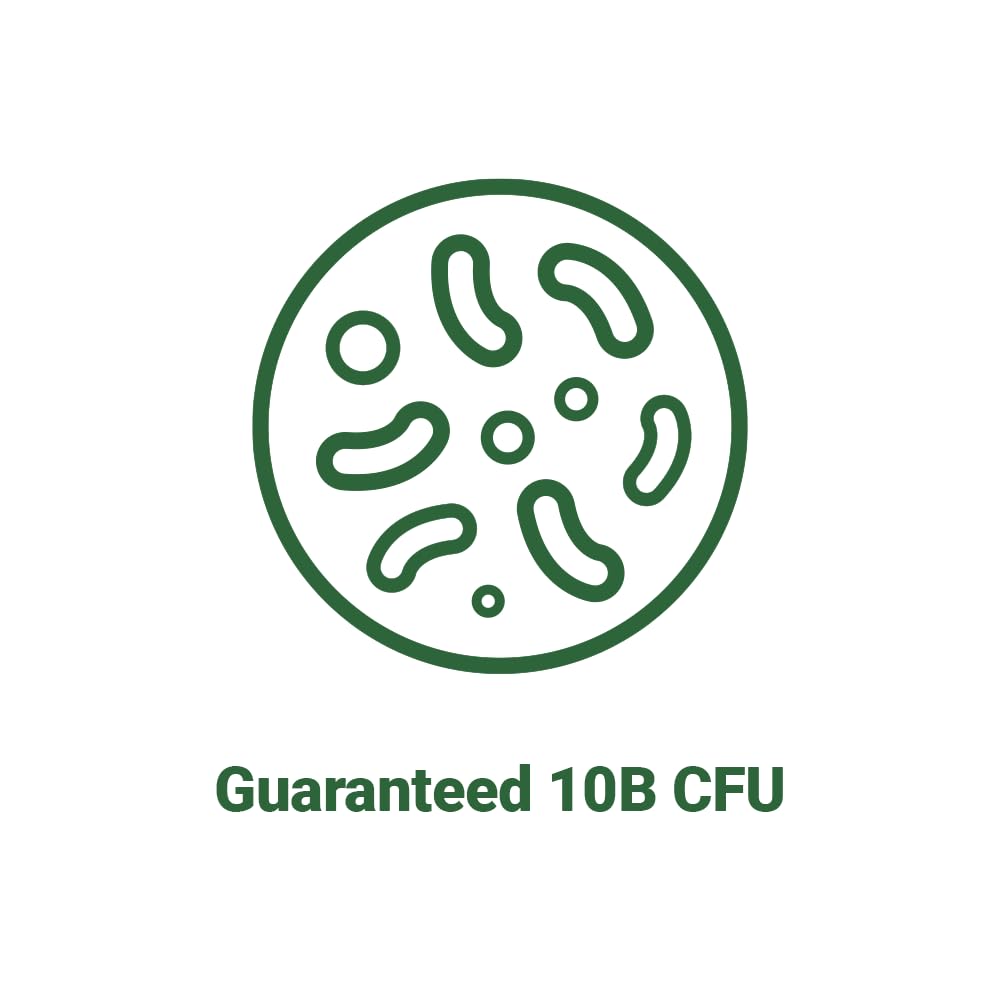 Top view of the secure seal on the AceBiome Lactobacillus gasseri 10 Billion CFU capsule bottle.