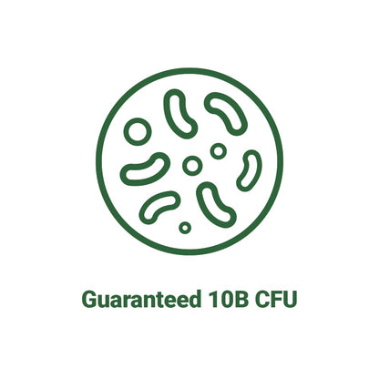 Top view of the secure seal on the AceBiome Lactobacillus gasseri 10 Billion CFU capsule bottle.