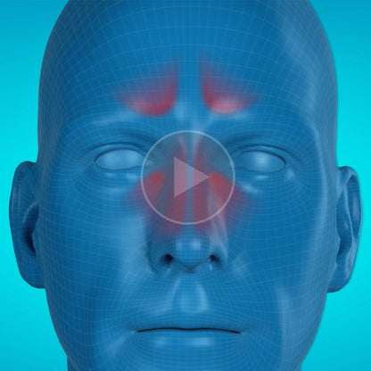 Authentic imported Sudafed nasal spray box showing ten hour long lasting relief benefit.