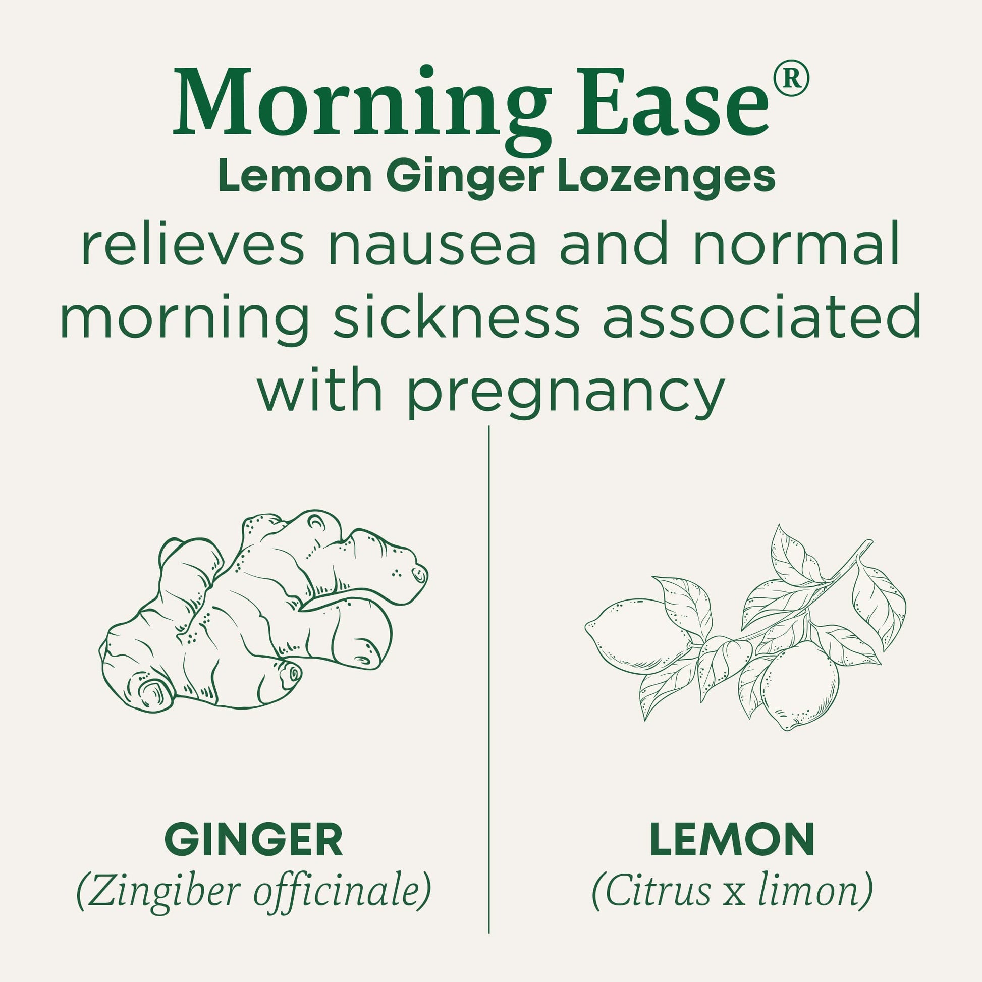 Individually wrapped organic lemon ginger morning sickness lozenges out of the bag