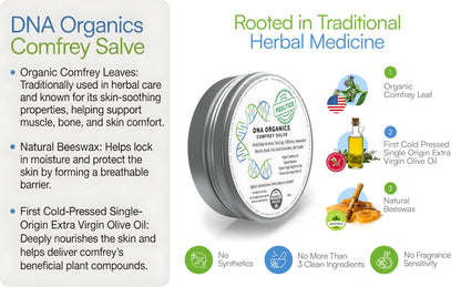 Organic comfrey ointment jar displaying the ingredient list of comfrey leaves and olive oil