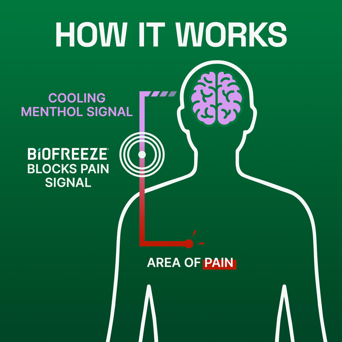 Three fluid ounce travel-friendly tube of Biofreeze Overnight relief gel on clean background.