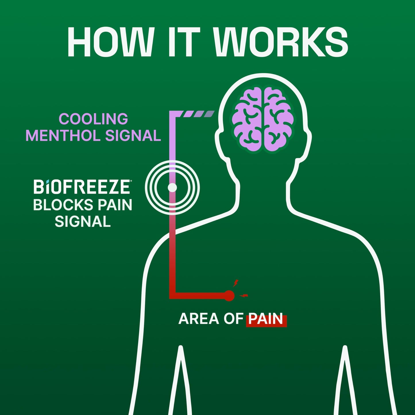 Biofreeze muscle and joint topical pain patches ingredient list view
