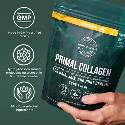 Primal Harvest nutrition powder displayed alongside fresh healthy ingredients for a daily morning wellness smoothie recipe