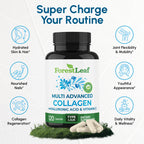 Hydrolyzed collagen types 1 2 and 3 supplement with hyaluronic acid ingredients