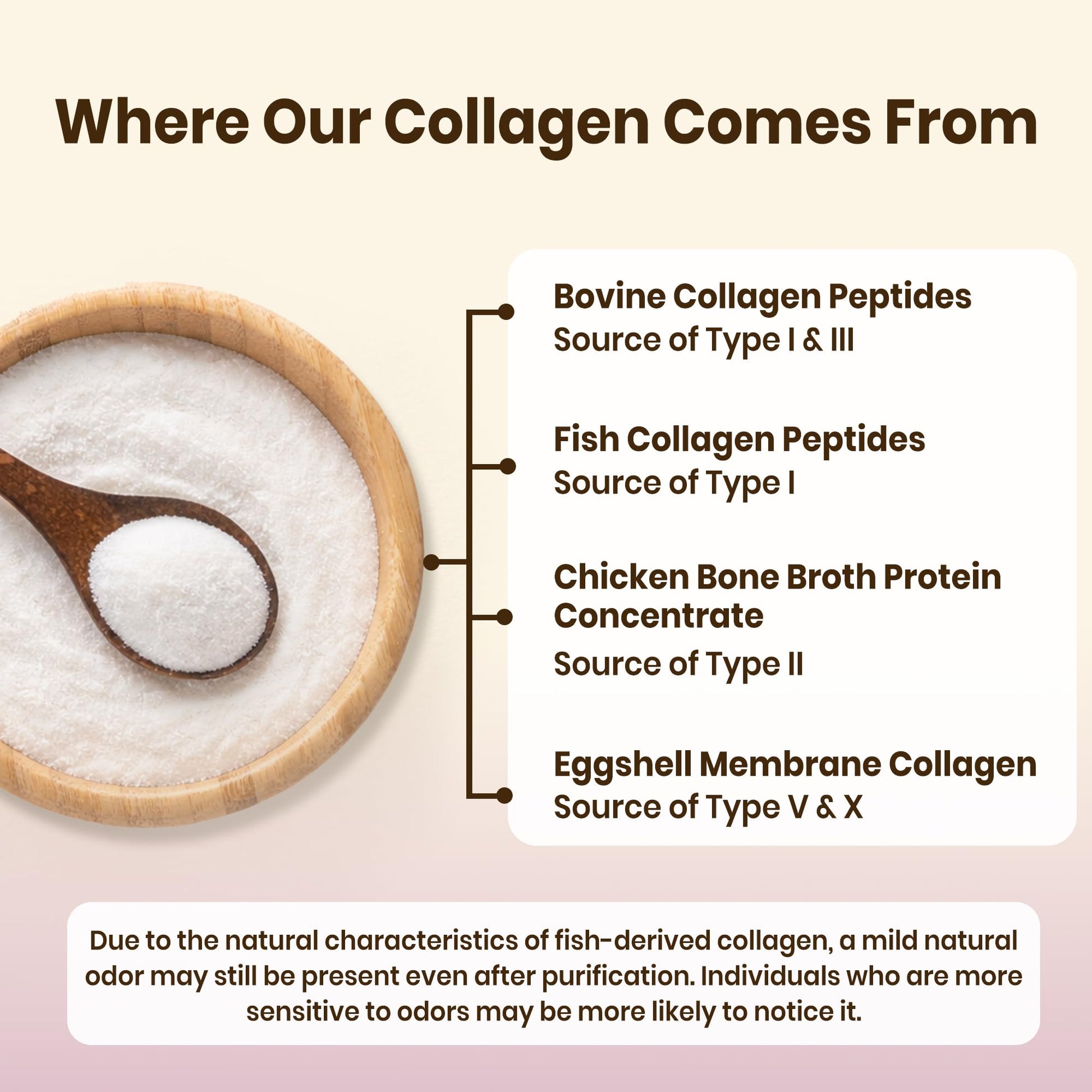 Keto and paleo friendly hydrolyzed collagen powder being scooped for daily beverage mixing