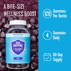 Authentic USA imported Vital Proteins collagen gummies twin pack