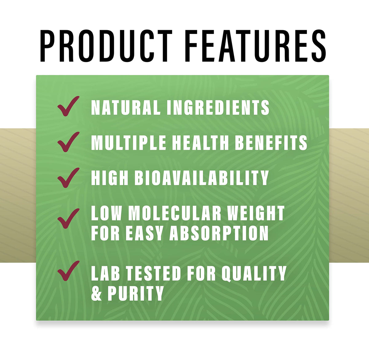 High protein unflavored collagen peptides dietary supplement container on a clean kitchen counter.