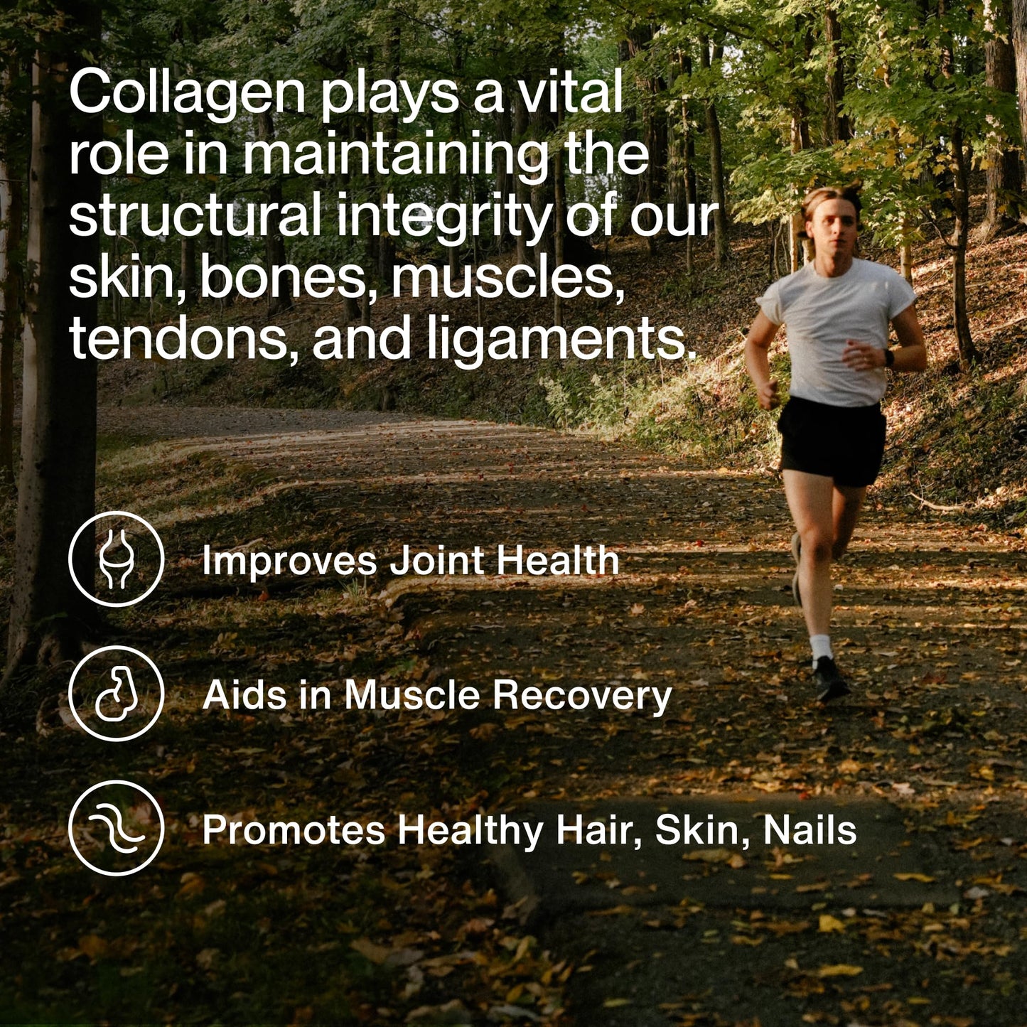 Momentous unflavored collagen powder scoop showing fine texture