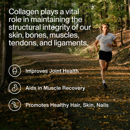 Momentous unflavored collagen powder scoop showing fine texture