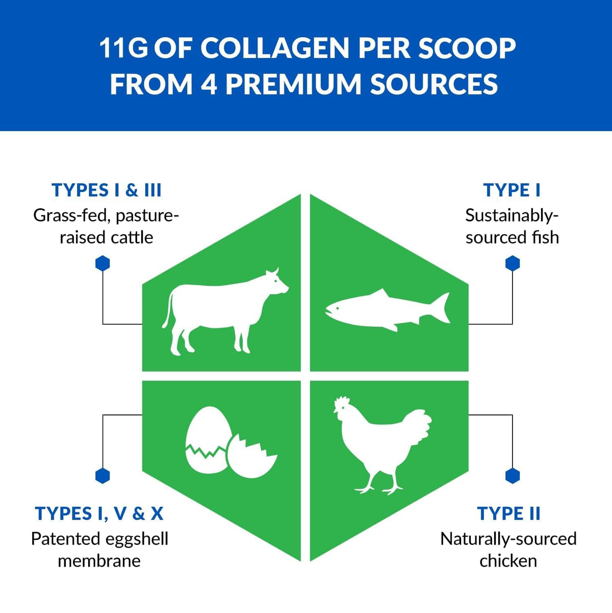 BioTrust Ageless Multi Collagen powder showing nutrition facts and premium sources