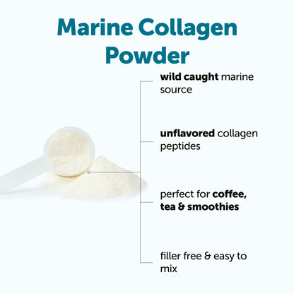 Unflavored marine collagen powder being scooped out of the one pound packaging.