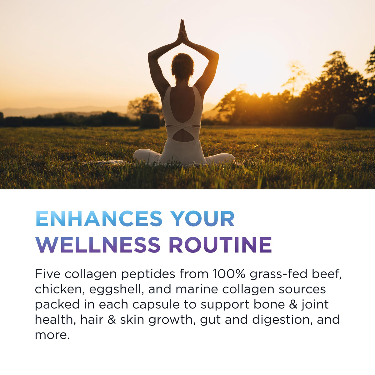 Authentic Dr. Emil Nutrition multi collagen pills for joint mobility and anti-aging care.