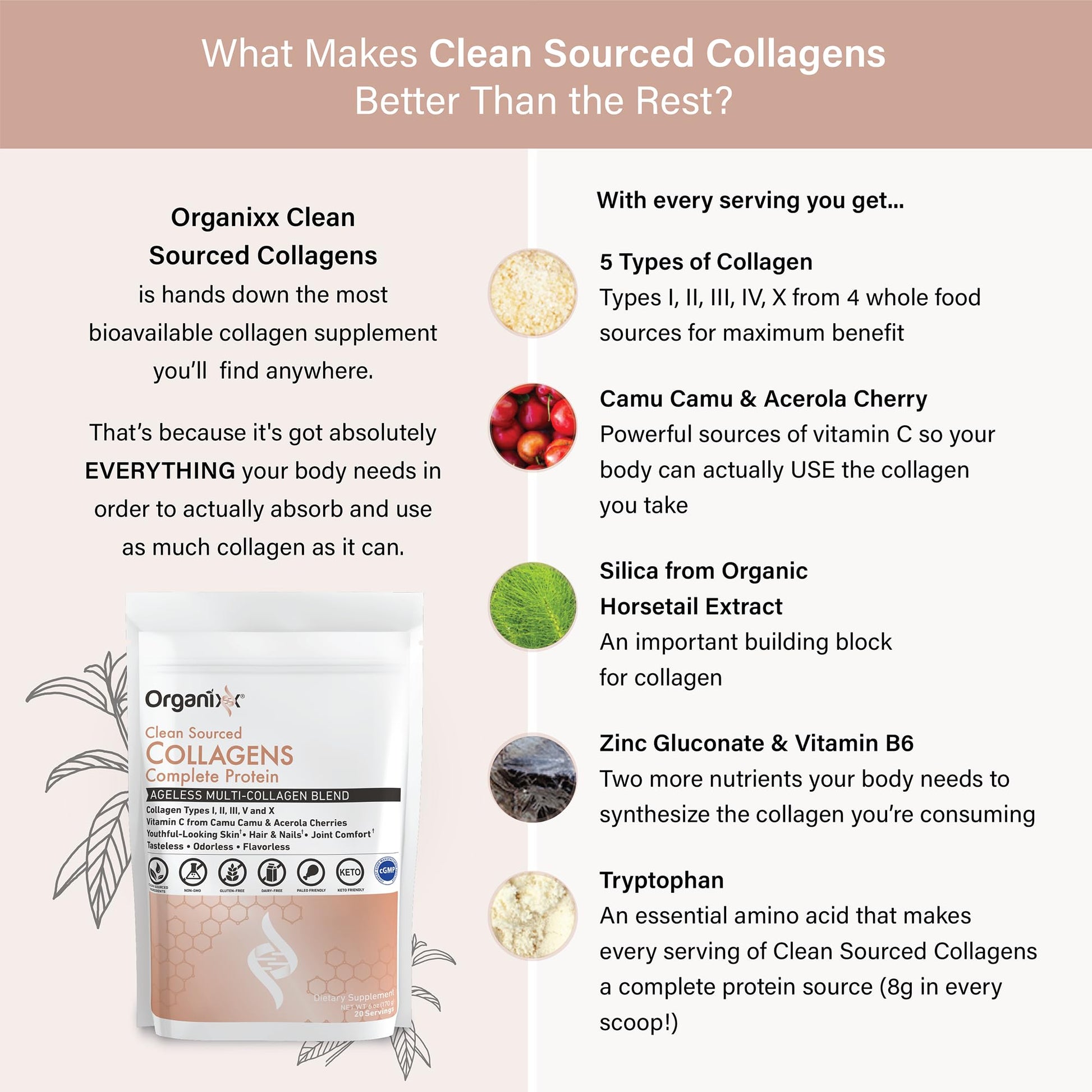 Organixx clean sourced collagen pouch next to a morning coffee cup indicating seamless daily dissolving capability.