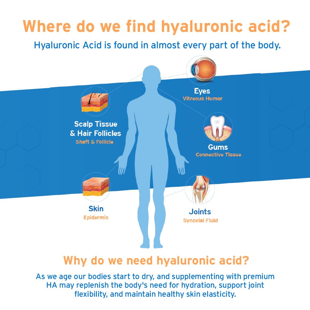Hyalogic Synthovial Seven 1 Fluid Ounce Packaging