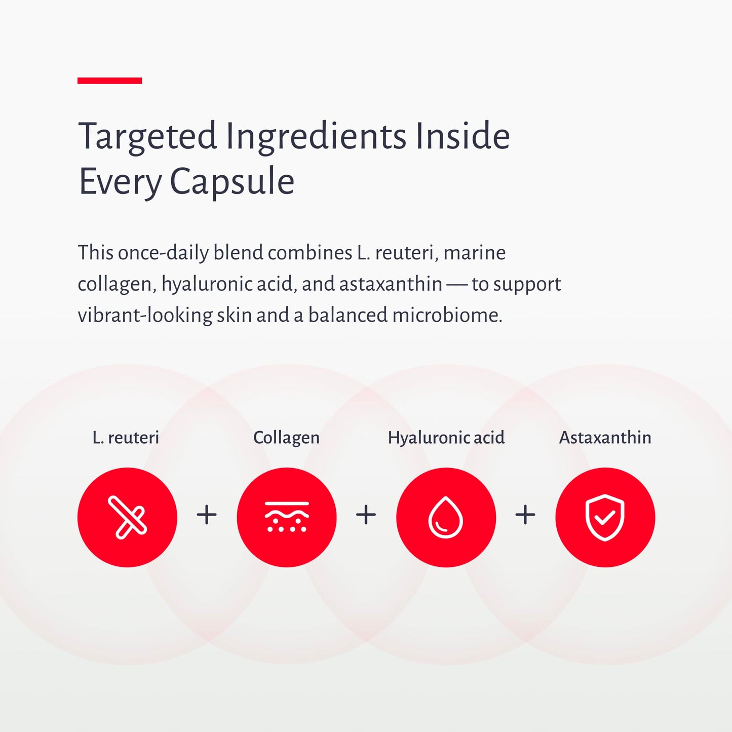 Premium Oxiceutics Gut to Glow probiotic and collagen complex