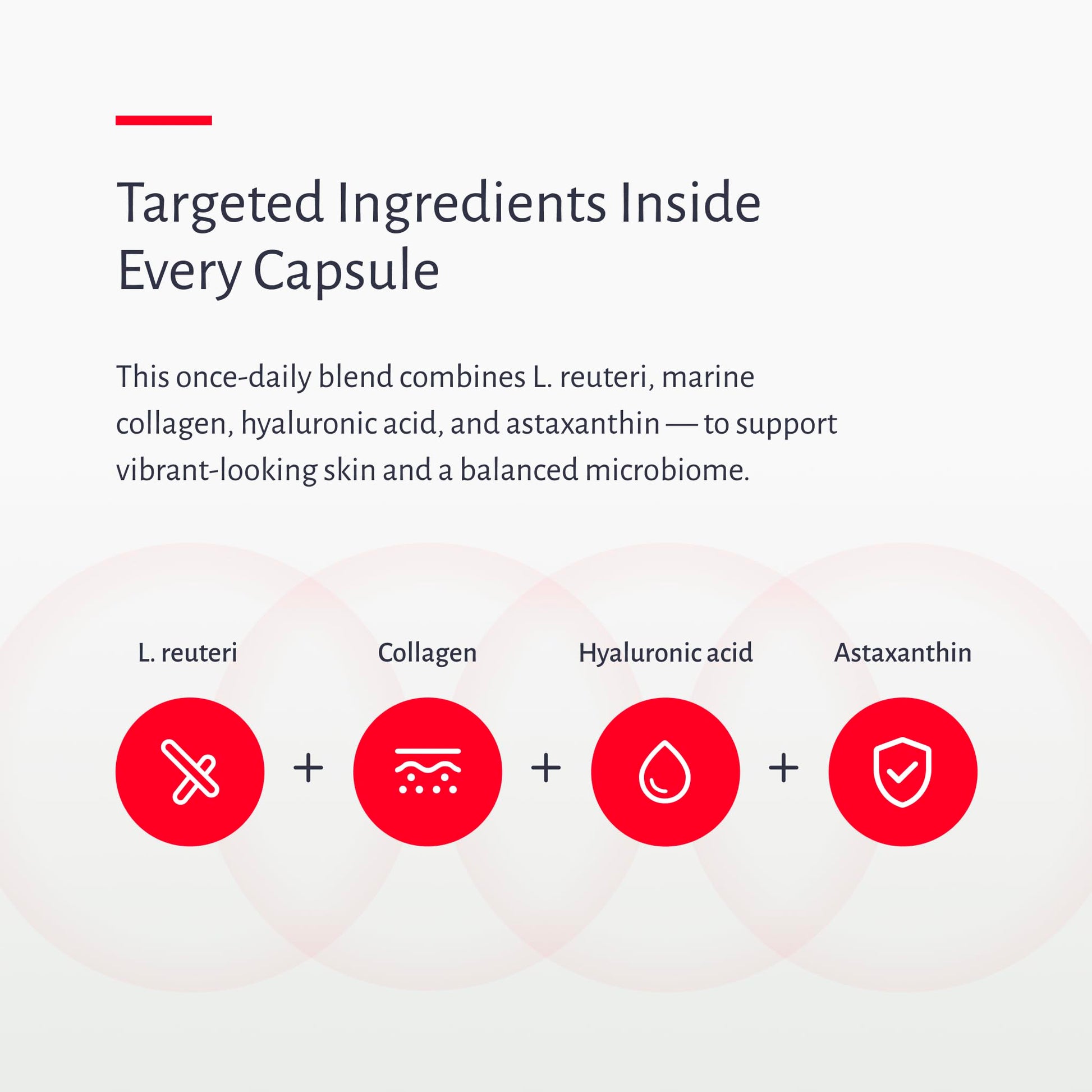 Premium Oxiceutics Gut to Glow probiotic and collagen complex