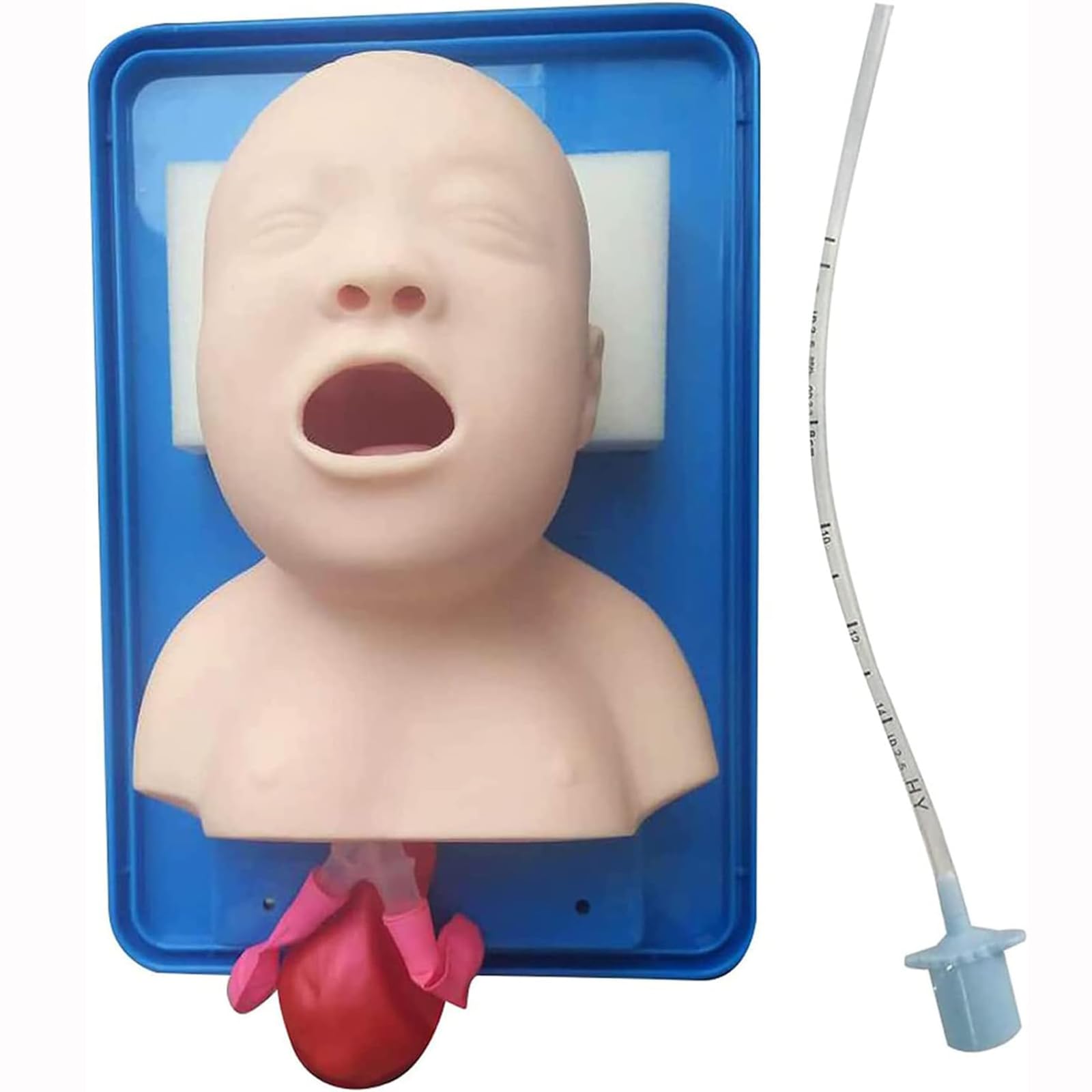 Advanced PVC child tracheal intubation model on a base positioned for oral airway management practice.