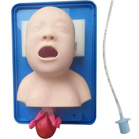 Advanced PVC child tracheal intubation model on a base positioned for oral airway management practice.