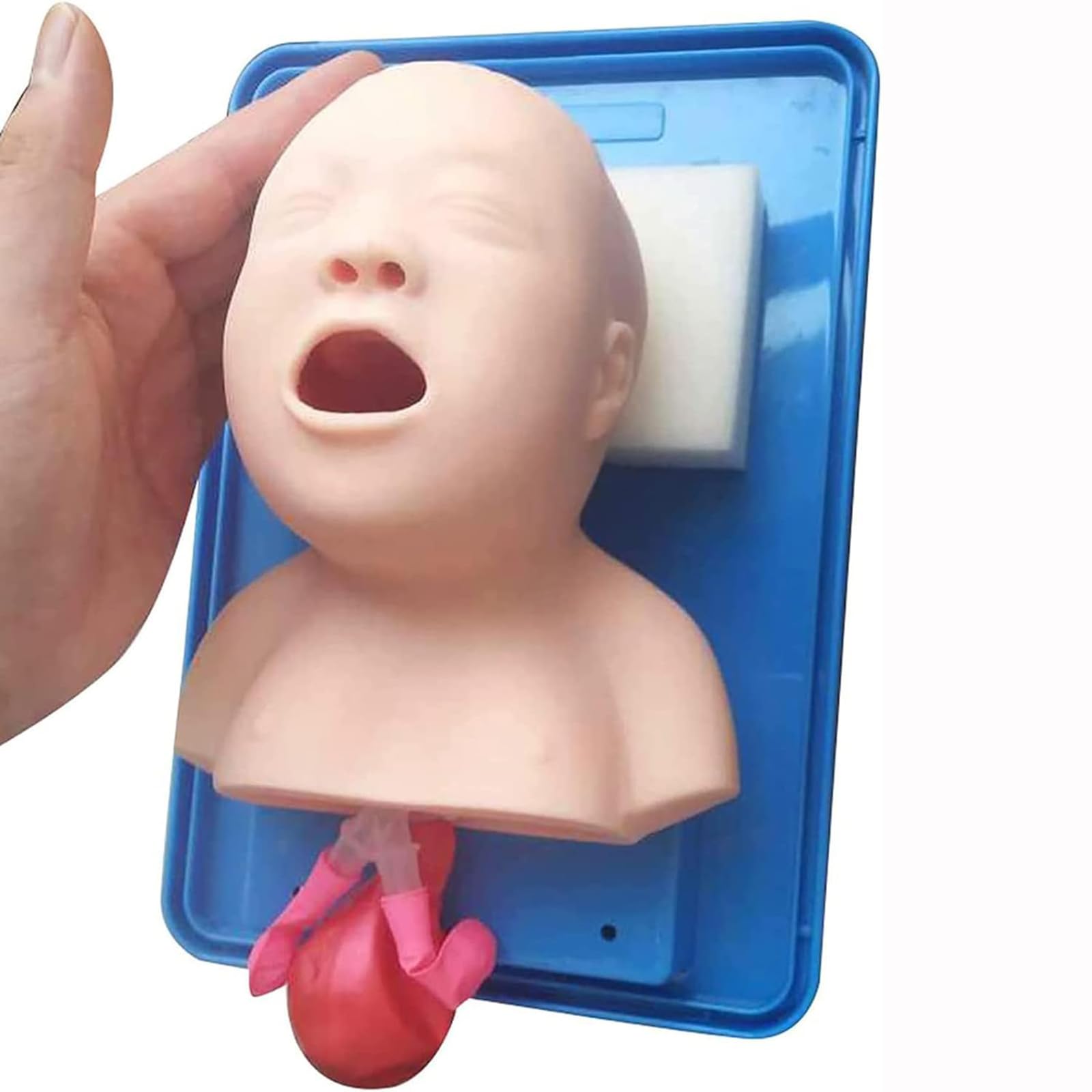 Infant medical simulator manikin demonstrating successful tube placement with lung expansion feedback.