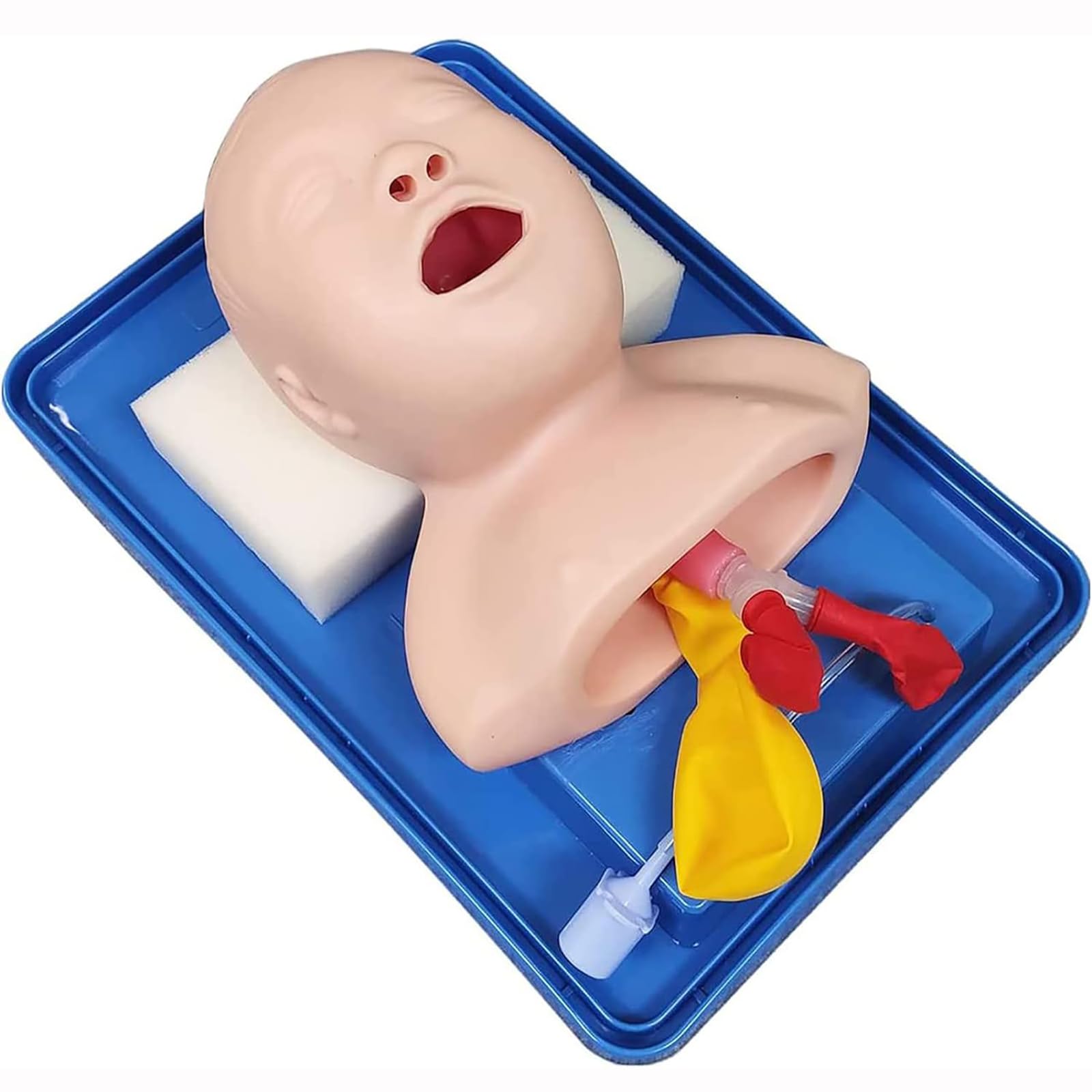 Anatomically accurate nurse lab teaching tool for pediatric endotracheal and nasotracheal intubation techniques.