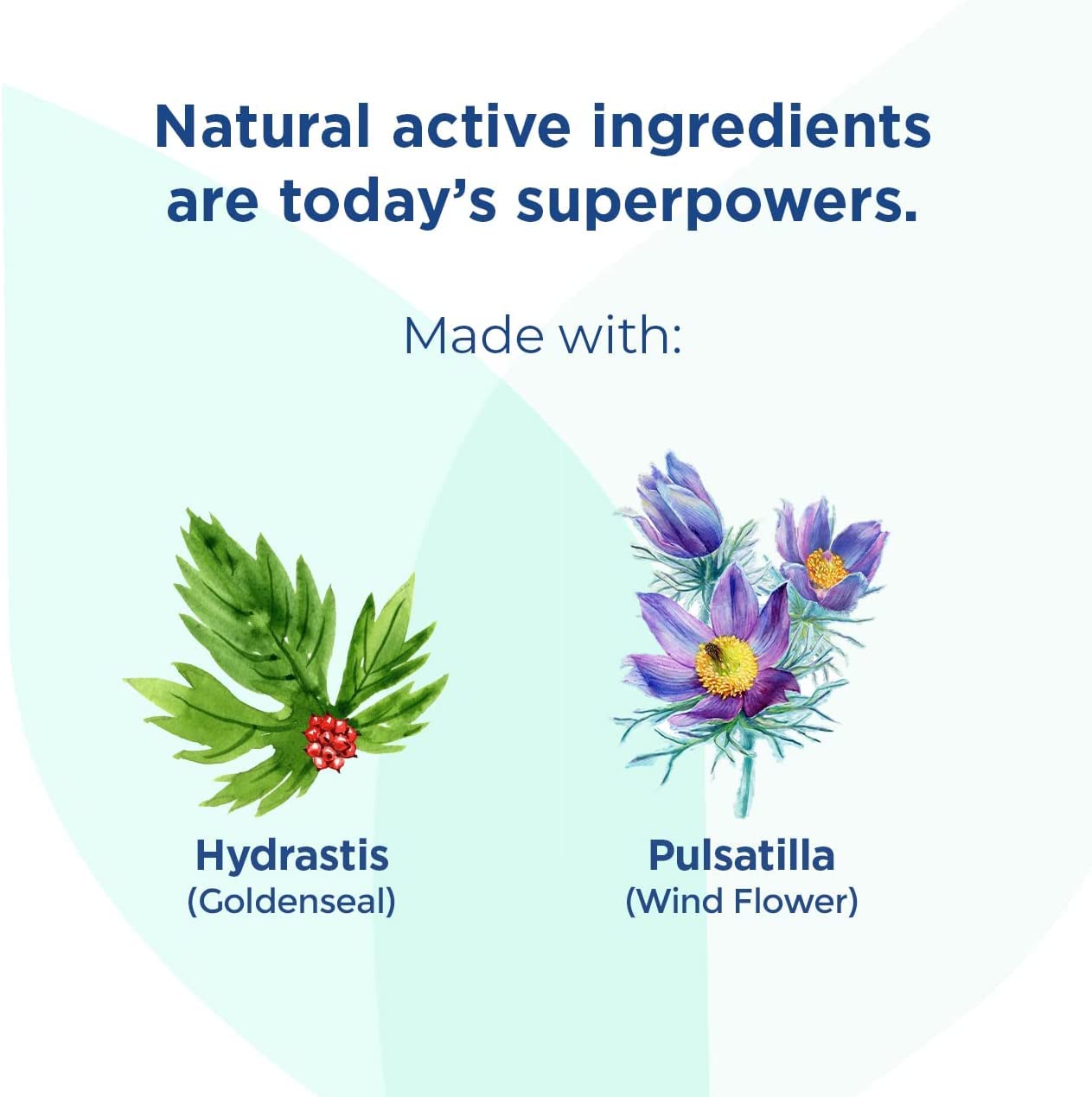 Hyland's Kids sinus tablets ingredients label close up