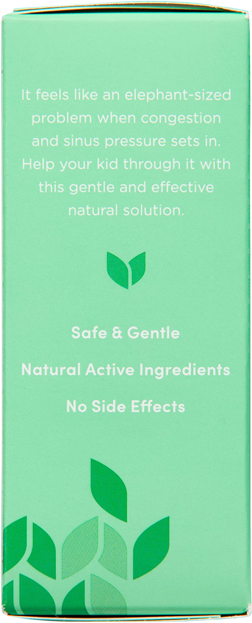 Hyland's kids natural nasal decongestant and headache relief tablet